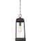 Quoizel Ravenel Outdoor Hanging Lantern RNL1908WT - alternate 3